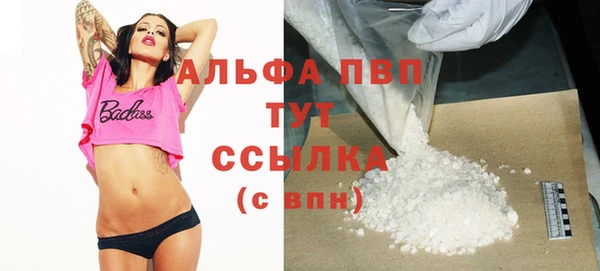 spice Богданович