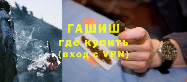 индика Пересвет