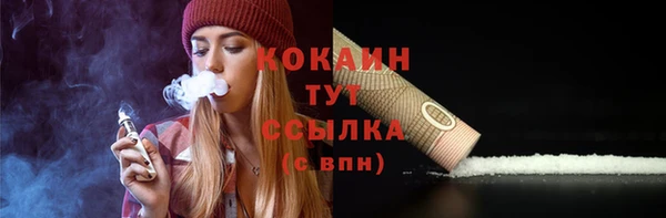 spice Богданович