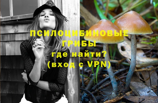 spice Богданович